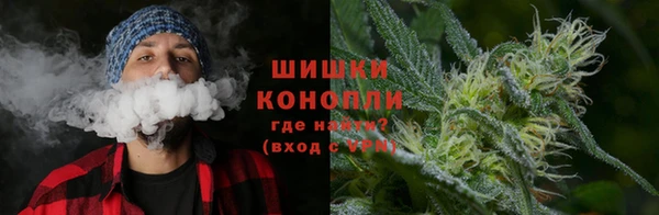 ГАЛЛЮЦИНОГЕННЫЕ ГРИБЫ Белокуриха