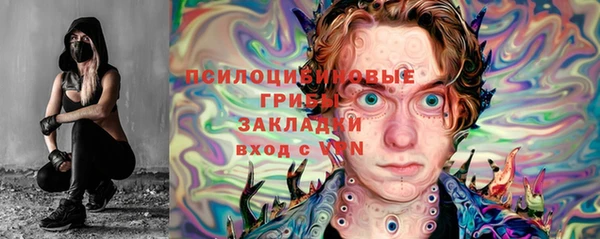 ГАЛЛЮЦИНОГЕННЫЕ ГРИБЫ Белокуриха