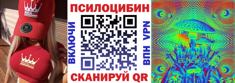 купить   Каспийск  Псилоцибиновые грибы MAGIC MUSHROOMS 
